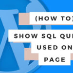 Show SQL Queries used on WP Page