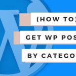 Get WordPress Posts By Category