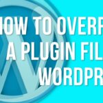 How to override a plugin file in WordPress