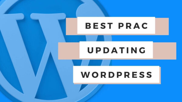 Best Practices to update your WP themes, plugins and WP Core